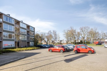 Omgeving