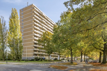 Omgeving