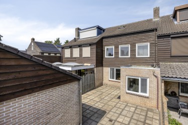 Tuin