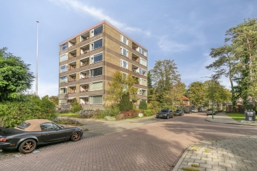Groene omgeving