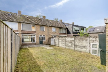 Tuin