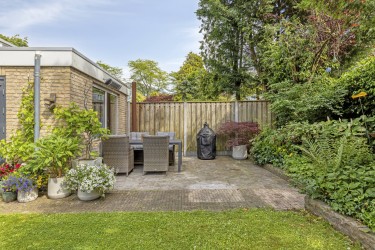 Tuin
