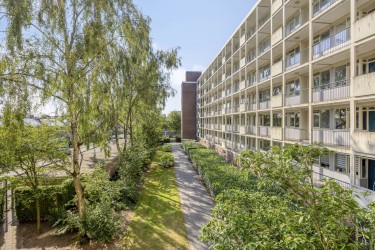 Gemeenschappelijke tuin