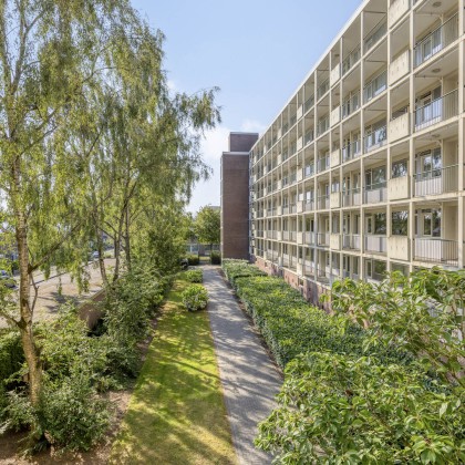 Gemeenschappelijke tuin