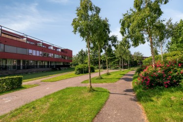 Extra foto's