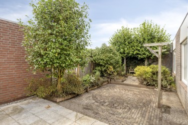 Zonnig patiotuin