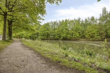 Omgeving