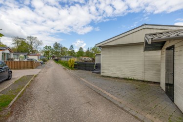 Tuin
