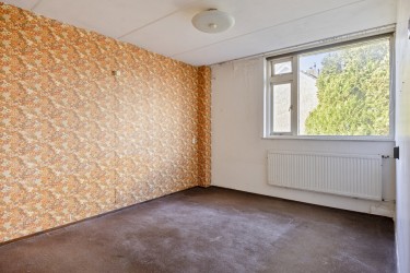 Veel licht inval