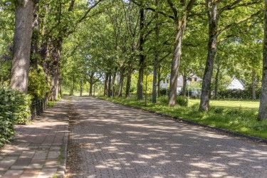Extra foto's