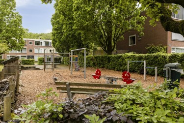 Omgeving