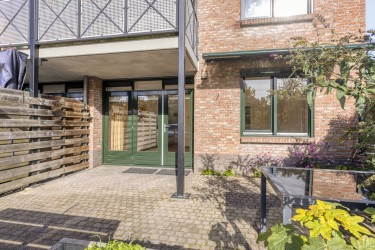 Tuin