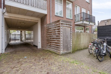 Tuin