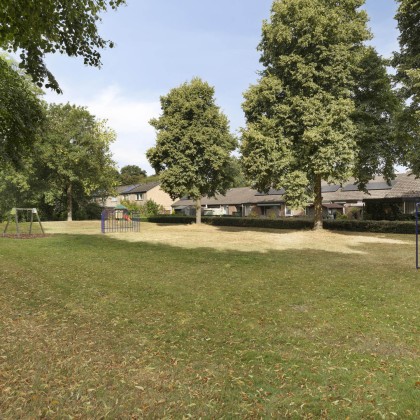 Groene omgeving