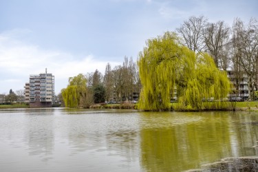 Groene omgeving
