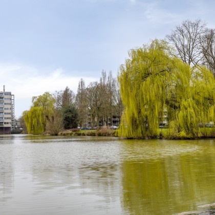 Groene omgeving