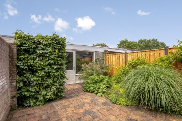 Tuin