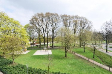 Omgeving