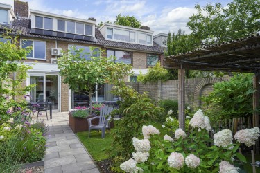 Tuin