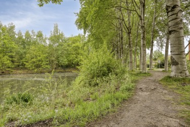 Extra foto's