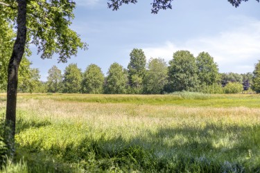 Omgeving