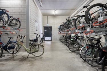 Omgeving