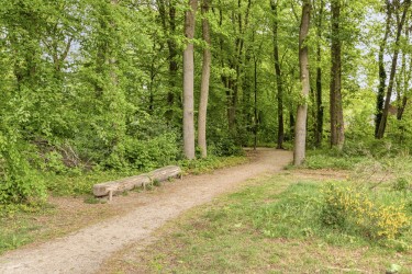 Extra foto's