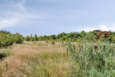 Omgeving
