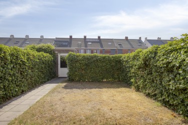 Tuin