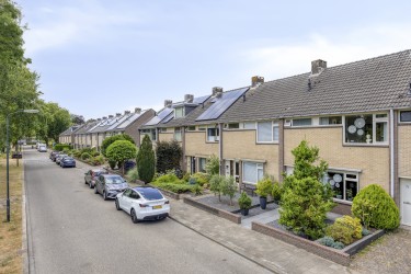 Groene omgeving