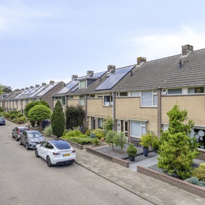 Groene omgeving