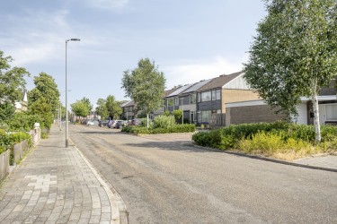 Omgeving