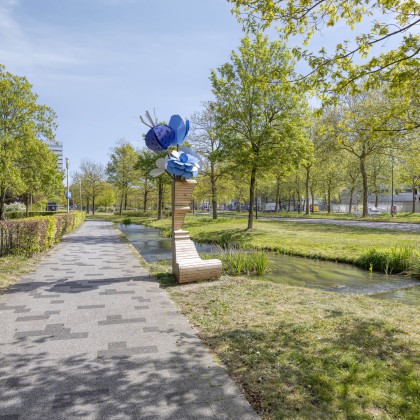 In het centrum