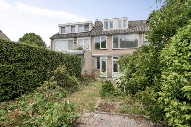 Tuin
