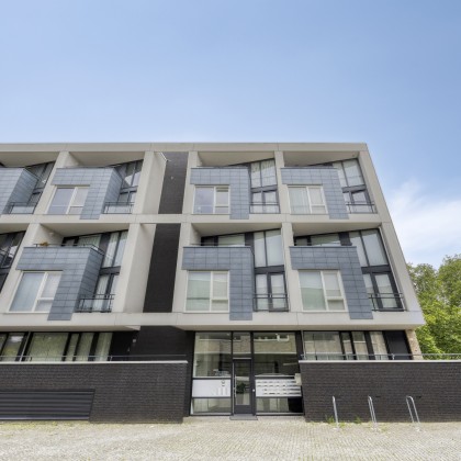 Modern complex