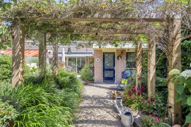 Tuin