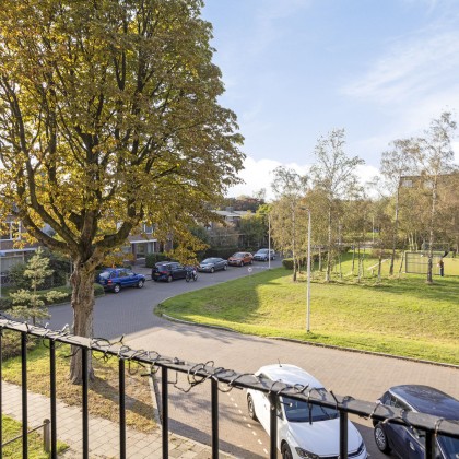 Groene omgeving