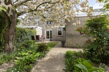 Tuin