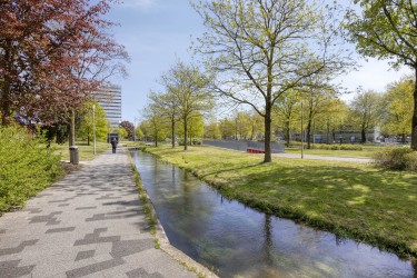 Omgeving