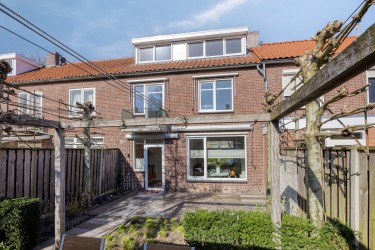 Tuin