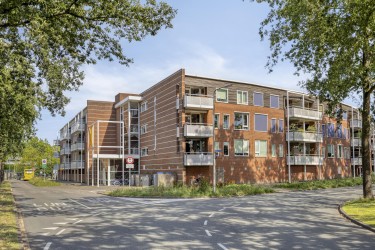 Omgeving