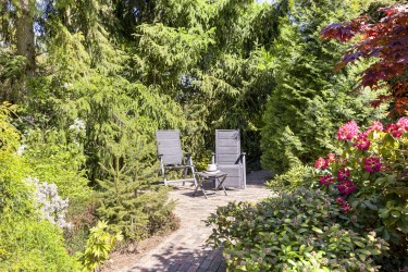 Tuin
