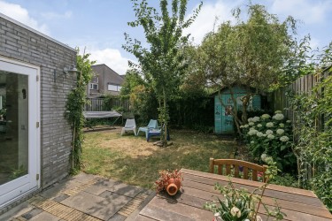 Tuin