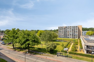 Omgeving