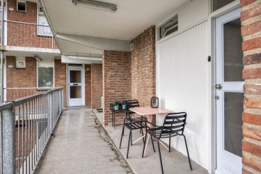 Eigen terras