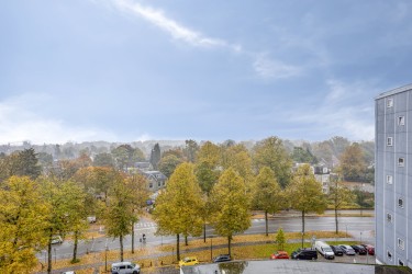 Omgeving