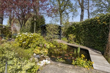 Tuin