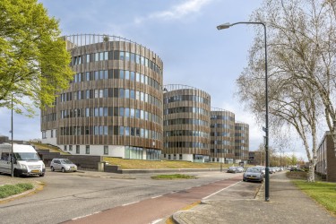 Omgeving