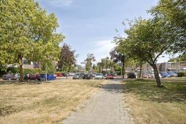 Omgeving