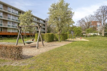 Omgeving